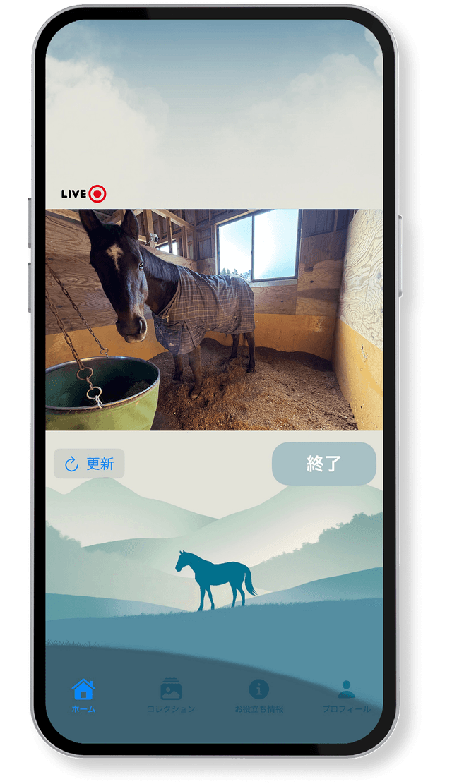 ステップ3: LIVE配信を楽しむ